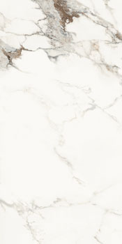 AE CAP6 12 LP.jpg